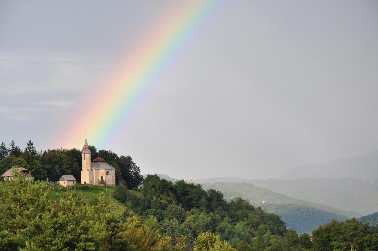 Guesthouse Dolinsek Sevnica Zewnętrze zdjęcie