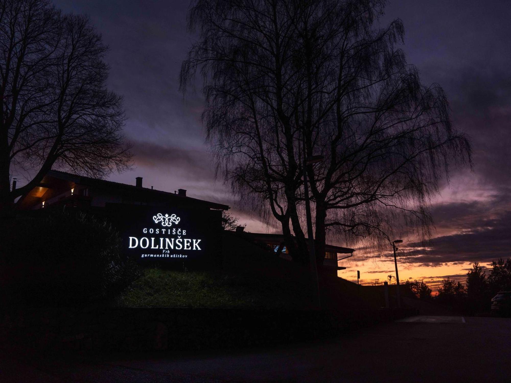 Guesthouse Dolinsek Sevnica Zewnętrze zdjęcie